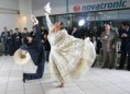 /album/fotogaleria-inicio/a6-jpeg/